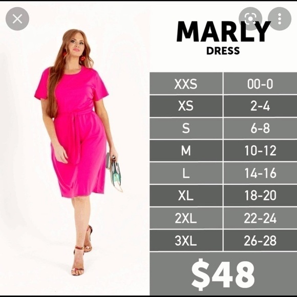 Lularoe Marley Blue Chevron Print Belted T-Shirt Dress Size L - Picture 9 of 9